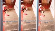 Adulta mayor conmueve las redes al darle de tomar sopa con una cuchara a su perrito