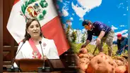 Midagri destinará más de S/136 millones para ampliar FertiAbono 2, anuncia Dina Boluarte