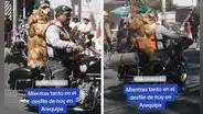 "Hermoso Firulais": tierno perrito es la 'estrella' del desfile por Fiestas Patrias en Arequipa