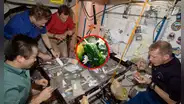 ¿Qué comen los astronautas y por qué le ponen picante a sus alimentos?