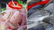 ¿Qué PESCADO se usa para preparar CEVICHE? Conoce cuáles son las MEJORES especies