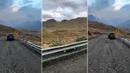 Hermoso puma se deja ver por viajeros en una carretera del sur del Perú: “Majestuoso”