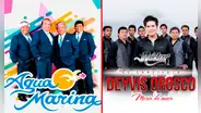 Agua Marina y Néctar: ¿cuánto cuesta contratar a cada uno de estos grupos de cumbia?