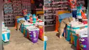 Hombre espanta a gatito que come galletas en puesto de abarrotes, pero termina 'troleado' : “Es el dueño”
