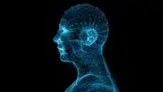 ¿Qué es la neurociencia y cómo se aplica este término en diferentes ámbitos?