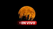 ¿A qué hora ver la superluna hoy? Mira EN VIVO la luna llena de agosto 2023 en México, Colombia y Argentina