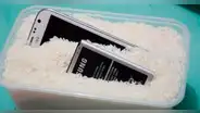 ¿Por qué no es una buena idea meter tu teléfono mojado en arroz para repararlo? Esto puede pasarle