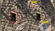 ¿Vizcacha o chinchilla? Turistas desatan debate al ver extraño animal en Machu Picchu
