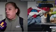 Magdalena: roban objetos valorizados en 10.000 dólares de departamento