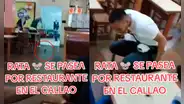 Rata hizo saltar del susto a los comensales de un restaurante en el Callao: “Tranquilos, es chefcito”