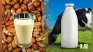 ¿Puede la leche VEGETAL sustituir a la de VACA? Esto es lo que dice la ciencia