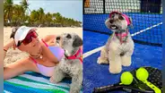 Laika, la Schnauzer: ¿quién es la perrita viajera que conquista las redes en Venezuela?