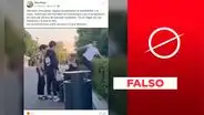 Video viral no presenta a "inmigrantes ilegales" pateando a un invidente en Alemania