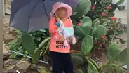 Madre de niña de 5 años con cáncer terminal pide ayuda para costear medicinas y una cama especial