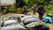 Narcotráfico en Perú: proyecto internacional revela las redes criminales que operan en la Amazonía