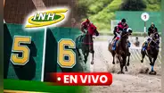 Resultados del 5y6 de La Rinconada EN VIVO: horarios y retirados de las carreras del 6 de agosto