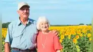 “Regalo perfecto”: hombre planta un millón de girasoles para su esposa por su 50 aniversario de bodas