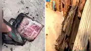 ¡Los billetes se quemaron! Familia pierde S/20.000 y su vivienda tras incendio en Cieneguilla