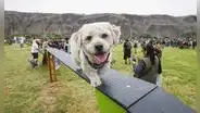 Magdalena: inauguran parque canino que estará abierto las 24 horas y será cuidado por serenazgo