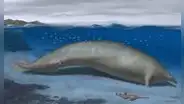 El coloso del desierto