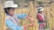 Productos orgánicos afrontan retos en sus exportaciones
