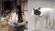 VES: denuncian que la dueña de un perro que atacó a niño de 6 años no se hace cargo de gastos médicos