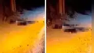 Dos hombres son asesinados cuando reclamaban su sueldo en La Libertad