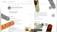 Día Internacional del Gato: Google implementa tierno secreto en su buscador para celebrar a los michis