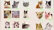 Día del Gato: ¿cómo descargar los mejores stickers para enviar a tus amigos por WhatsApp?