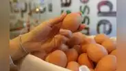Avisur denuncia ingreso masivo de huevos de contrabando desde Ecuador y Bolivia