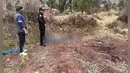 Cusco: toro embiste varias veces y mata a su dueño cuando lo pastoreaba