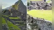 Familia de coatíes sorprenden al ser captados paseando por Machu Picchu: “Qué bellos”