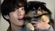BTS: el tierno homenaje de Taehyung a su perrito en 'Layover': ¿cuándo se estrena su disco solista?