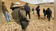 Cusco: cazadores usaron armas de fuego para matar a las vicuñas