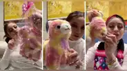 Karol Sevilla recibe regalos de fans peruanos y sorprende al confundir una alpaca con un caballo