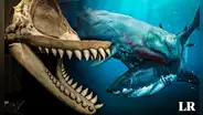 El megalodón tuvo un rival en el mar peruano: así era Livyatan, la megaballena asesina