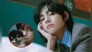 BTS: V causa suspiros en sus fans con las fotos promocionales de su álbum 'Layover'