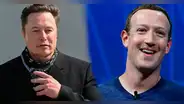 ¿No habrá pelea? Elon Musk plantea enfrentarse a Mark Zuckerberg en un "noble" debate
