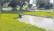 Agricultores siguen a la espera de transferencia de recursos en Piura