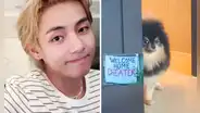Taehyung de BTS revela que el perro en su MV 'Rainy Days' no era Yeontan y rompe corazones