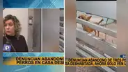 Surco: vecinos denuncian abandono de 3 perritos desde hace un año en casa deshabitada
