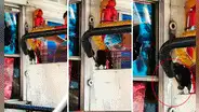 Chofer de bus lleva una rata como mascota y pasajeros quedan en shock: “Es el cobrador”