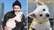 Namjoon, de BTS: líder RM revela que murió Monie, su adorable perrito