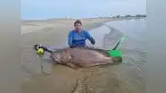 ¡Qué tal récord!: pescan mero de 195 kilos en mar de Tumbes