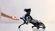 Xiaomi muestra su CyberDog 2: el robot que parece un dóberman entrenado por IA y realiza trucos