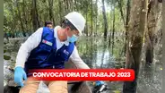 ¡Para titulados! Autoridad Nacional del Agua ofrece 230 empleos con sueldos de hasta S/11.500
