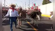 Entrada de ccapo en Arequipa: danzarines, cantantes de copla y carros alegóricos participaron
