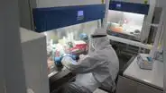 Variante eris del COVID-19 llegaría al Perú la próxima semana, asegura Instituto Nacional de Salud