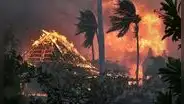 Catástrofe forestal en Hawaii: ayuda humanitaria llega a las ciudades afectadas tras incendios