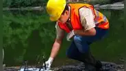 ¿Qué significa "in situ" y cuándo se utiliza?
